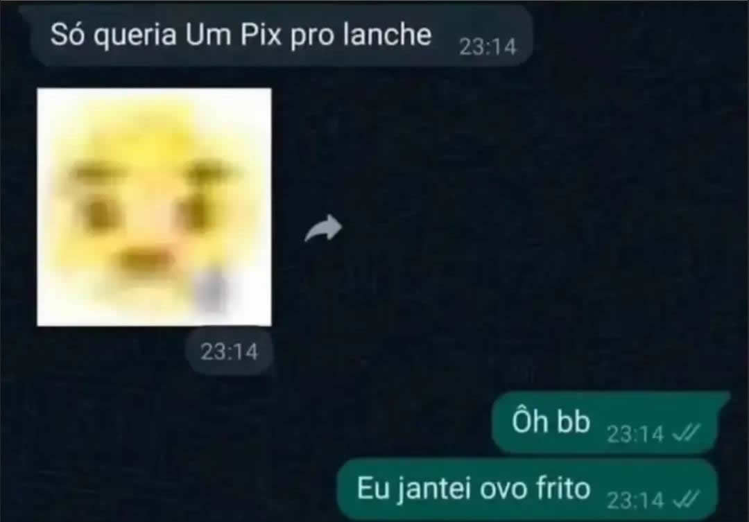 Quando a gata perde um pix para o lanche Quando a gata perde um pix para o lanche