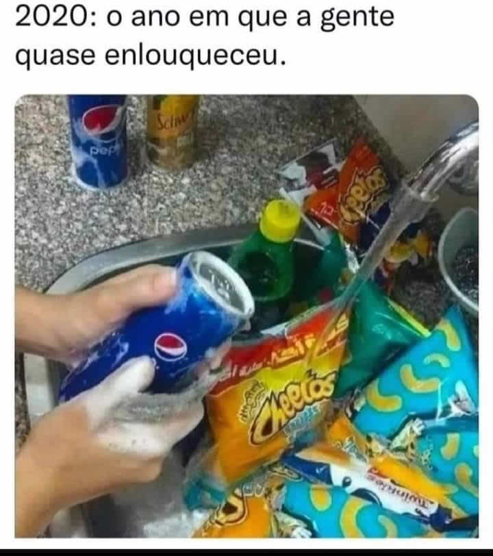 2020 o ano que a gente quase enlouqueceu