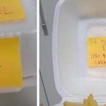 Apelar para a consciência