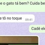 Como cuidar de um gato