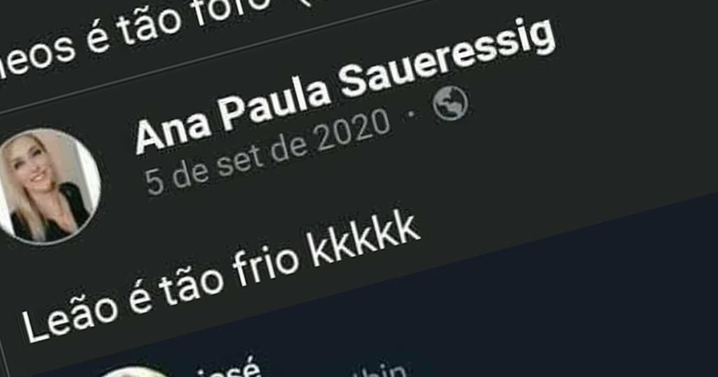 O maravilhoso mundo dos signos O maravilhoso mundo dos signos