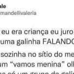Quando uma galinha fala com você