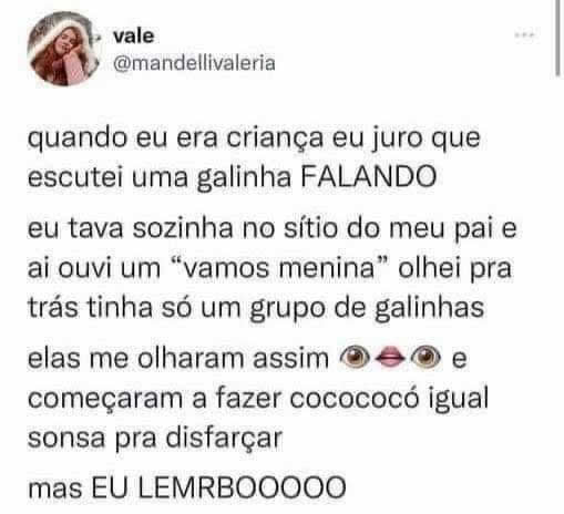 Quando uma galinha fala com você