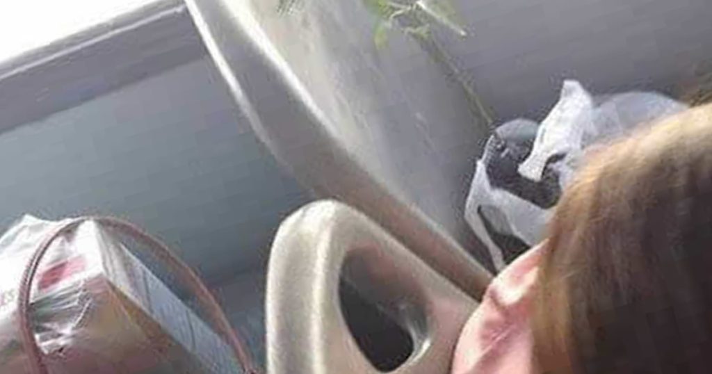 Ah, o transporte público