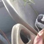 Ah, o transporte público