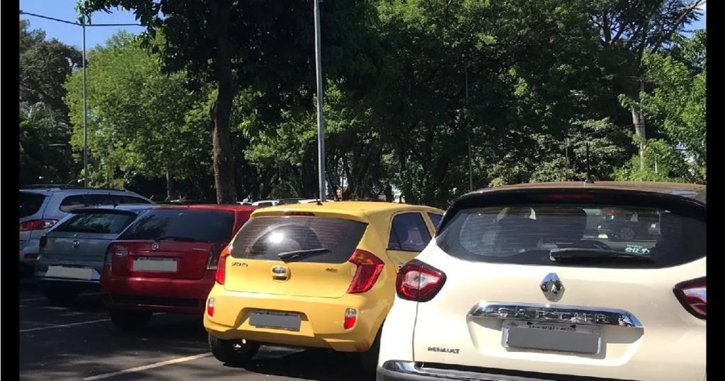 Olha mostarda, ketchup e maionese estacionando Olha mostarda, ketchup e maionese estacionando