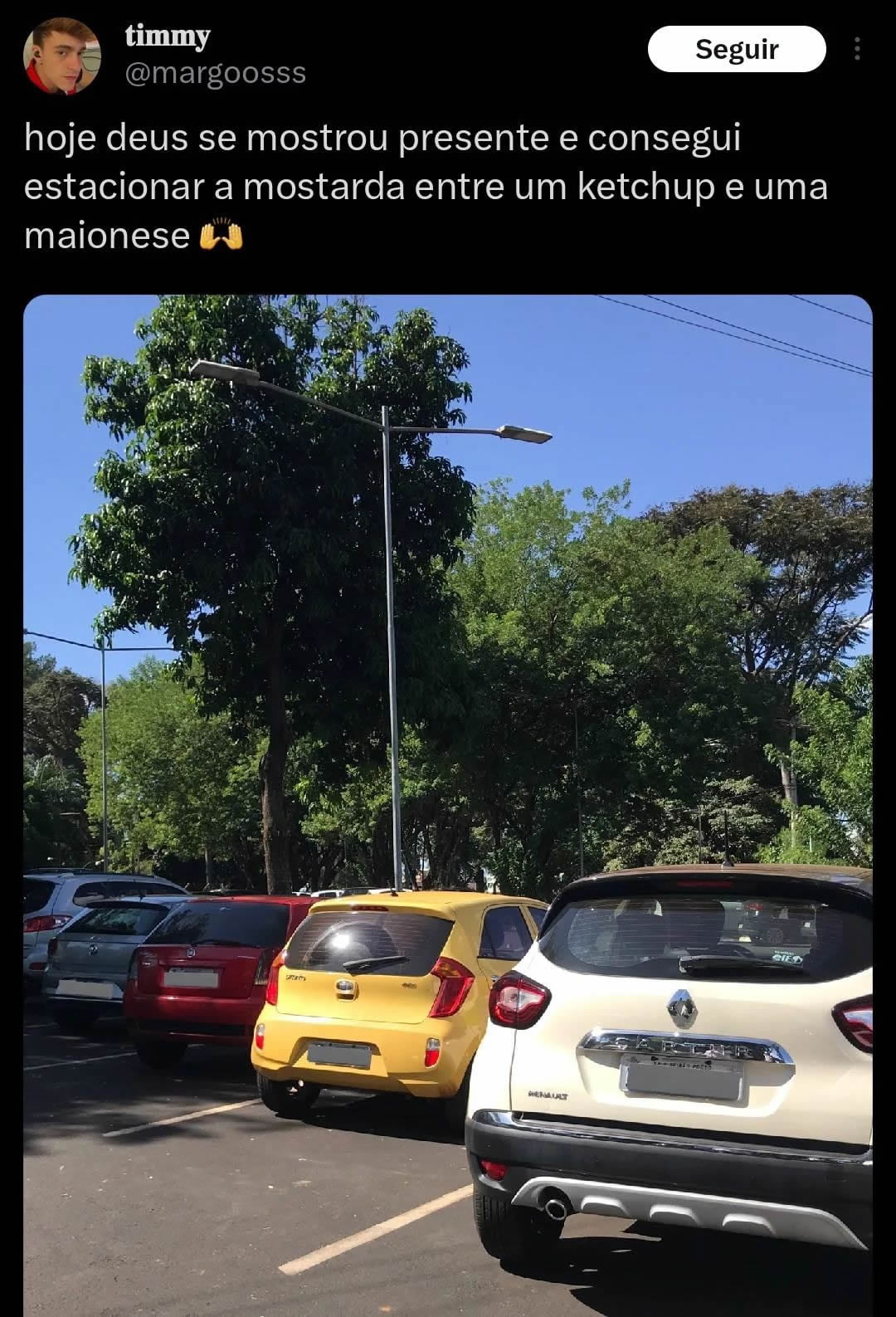 Olha mostarda, ketchup e maionese estacionando Olha mostarda, ketchup e maionese estacionando