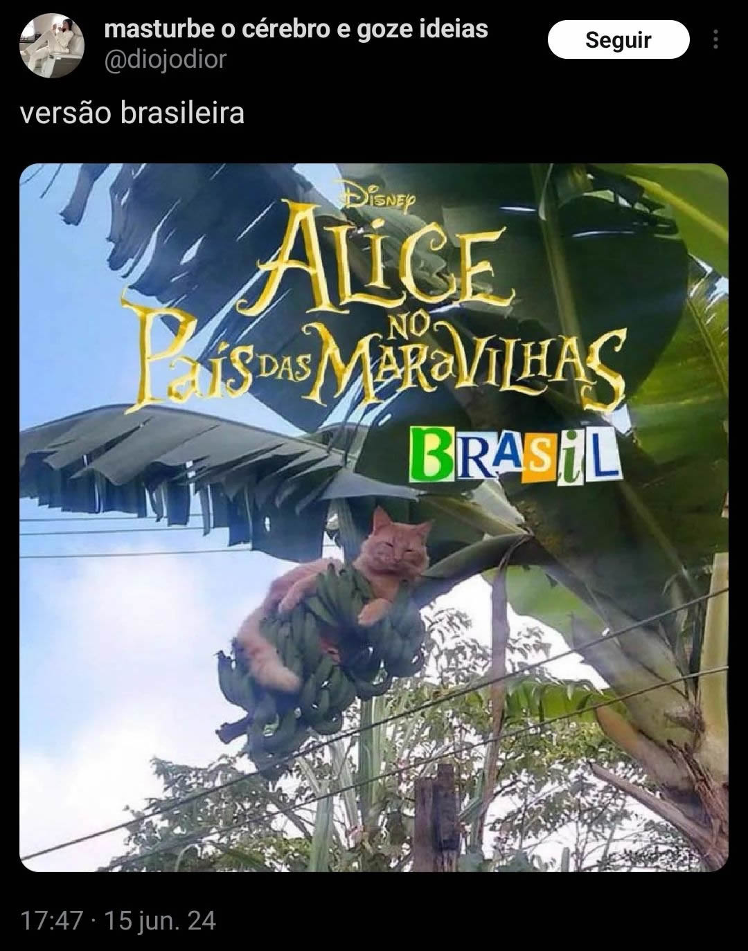 Versão brasileira de Alice no País das Maravilhas Versão brasileira de Alice no País das Maravilhas