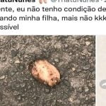 Aquele frango que custou 19 reais