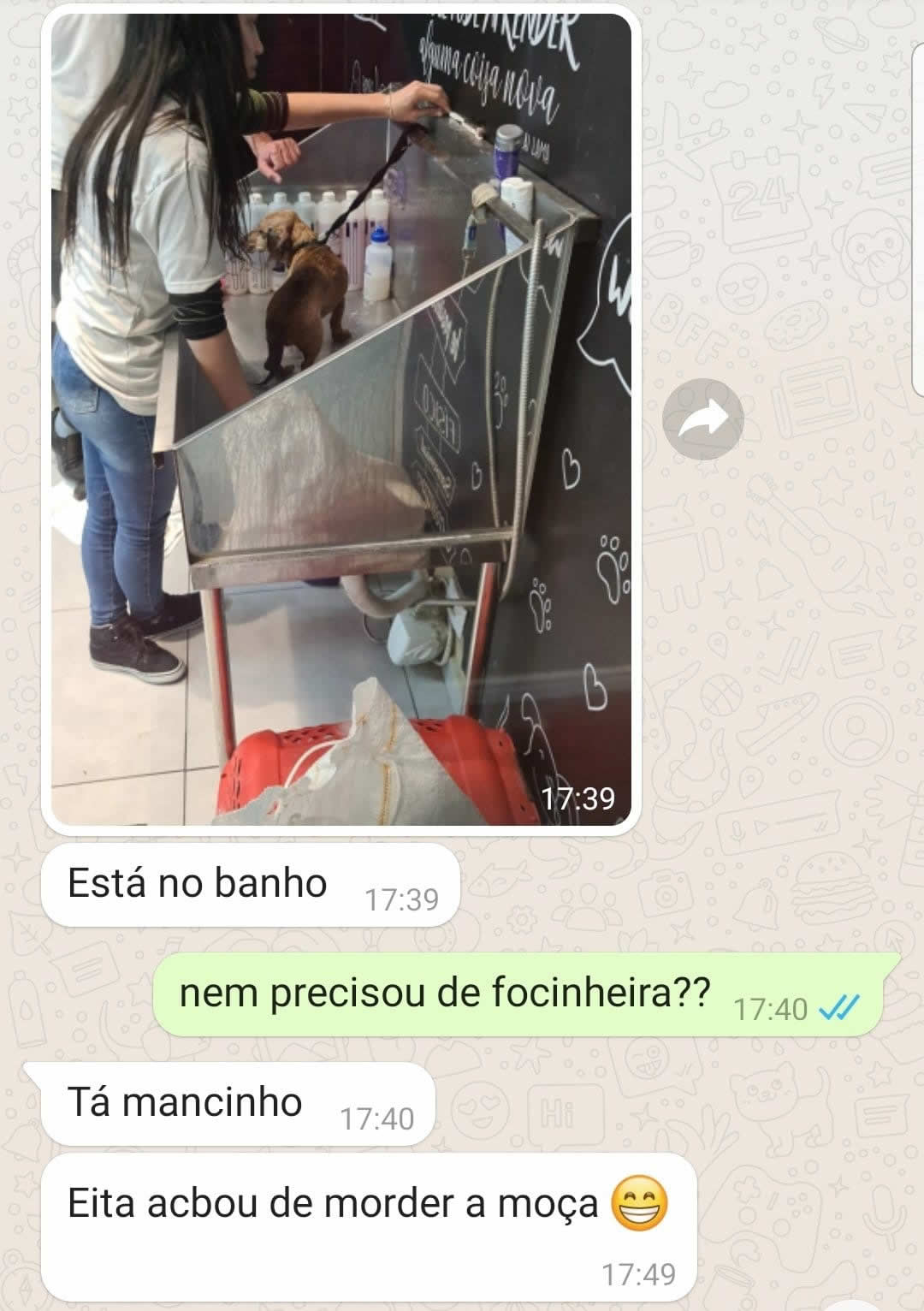 Nem precisou de focinheira