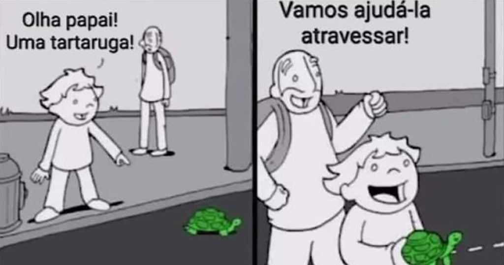 Vida das tartarugas no Brasil!