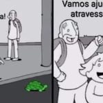 Vida das tartarugas no Brasil!