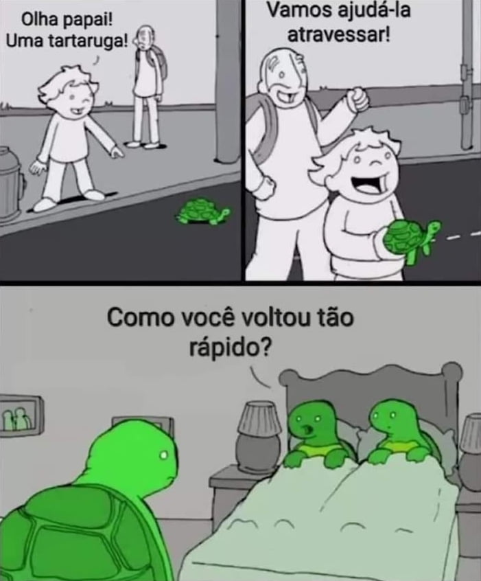 Vida das tartarugas no Brasil! Vida das tartarugas no Brasil!