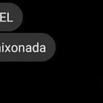 Quando o coração decide se apaixonar