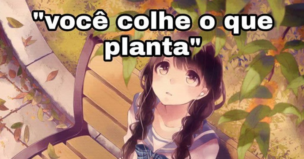 Você colhe o que planta