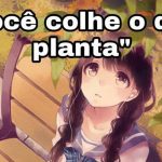 Você colhe o que planta