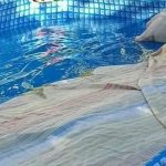A arte da camuflagem na piscina