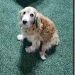 A vida em condomínio tem seus desafios