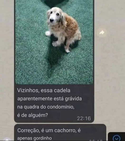 A vida em condomínio tem seus desafios A vida em condomínio tem seus desafios