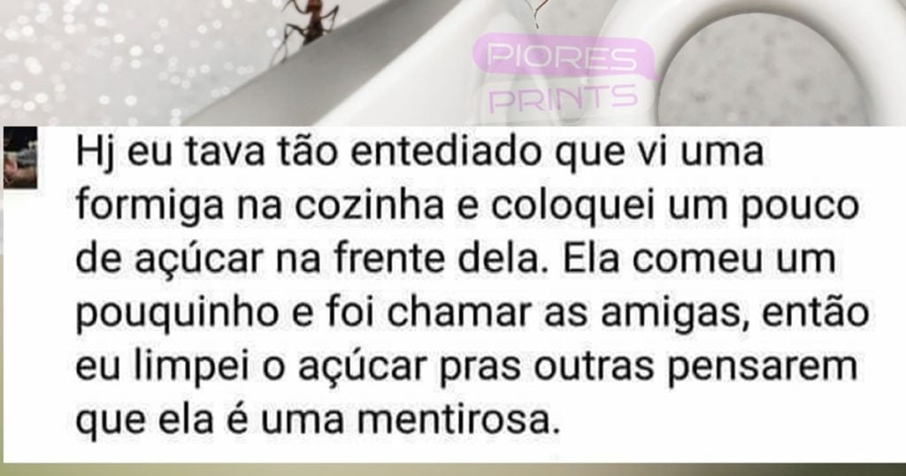 Formiga ou mentirosa? O grande debate do açúcar! Formiga ou mentirosa? O grande debate do açúcar!