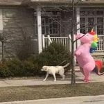 Um verdadeiro espetáculo de criatividade!