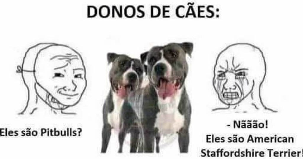 Entre American Staffordshire e Laranja: A realidade dos donos de pets no Brasil Entre American Staffordshire e Laranja: A realidade dos donos de pets no Brasil