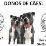 Entre American Staffordshire e Laranja: A realidade dos donos de pets no Brasil