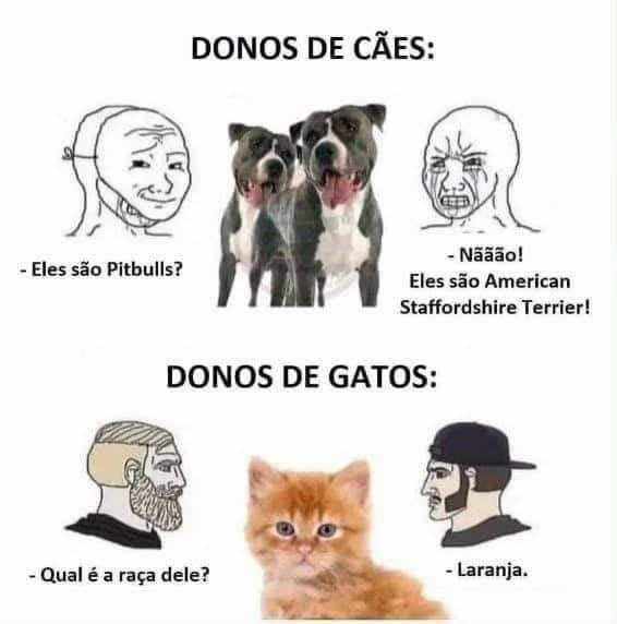 Entre American Staffordshire e Laranja: A realidade dos donos de pets no Brasil Entre American Staffordshire e Laranja: A realidade dos donos de pets no Brasil