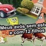 Estudo e solteirice: O macarrão instantâneo da vida moderna!