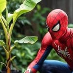 Homem-Aranha na horta: O amigão da vizinhança agora é rei das bananeiras