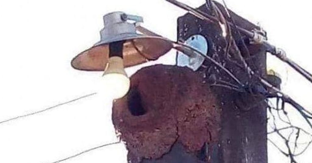 João de Barro: O Magnata da Luz e Segurança! João de Barro: O Magnata da Luz e Segurança!