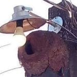 João de Barro: O Magnata da Luz e Segurança!