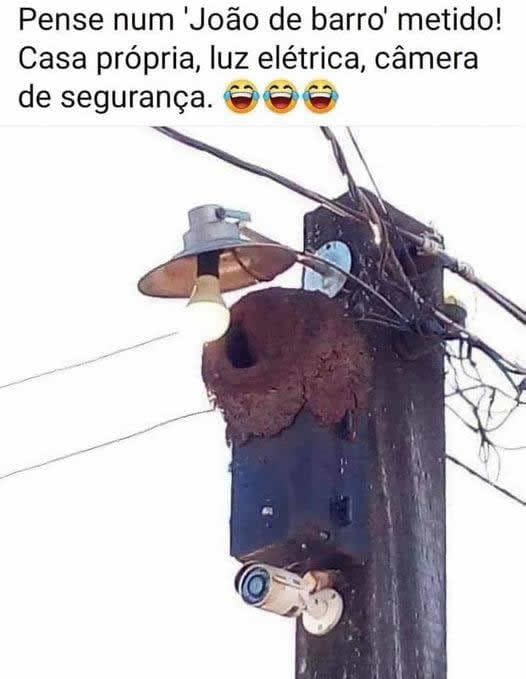 João de Barro: O Magnata da Luz e Segurança! João de Barro: O Magnata da Luz e Segurança!