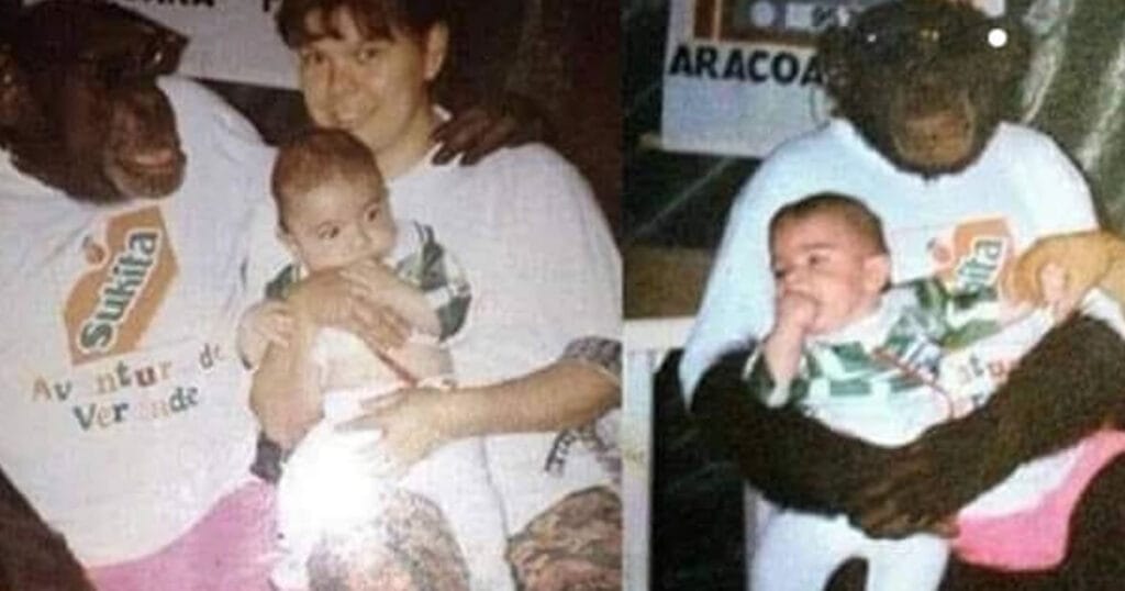 Quando a mãe é a rainha da aventura: O dia em que conheci um chimpanzé! Quando a mãe é a rainha da aventura: O dia em que conheci um chimpanzé!
