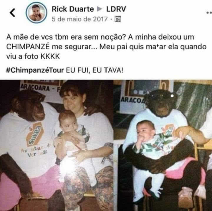 Quando a mãe é a rainha da aventura: O dia em que conheci um chimpanzé!