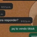 Resposta sincera e sem filtro: Quando o TikTok é prioridade, o resto espera!