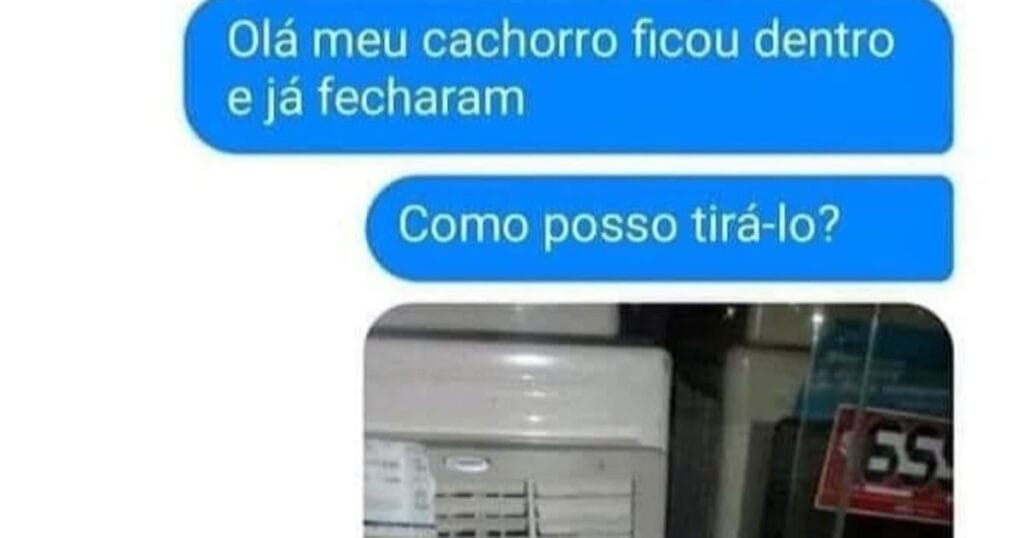 Cachorro preso: A liberdade em 12x sem juros! Cachorro preso: A liberdade em 12x sem juros!