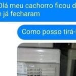 Cachorro preso: A liberdade em 12x sem juros!