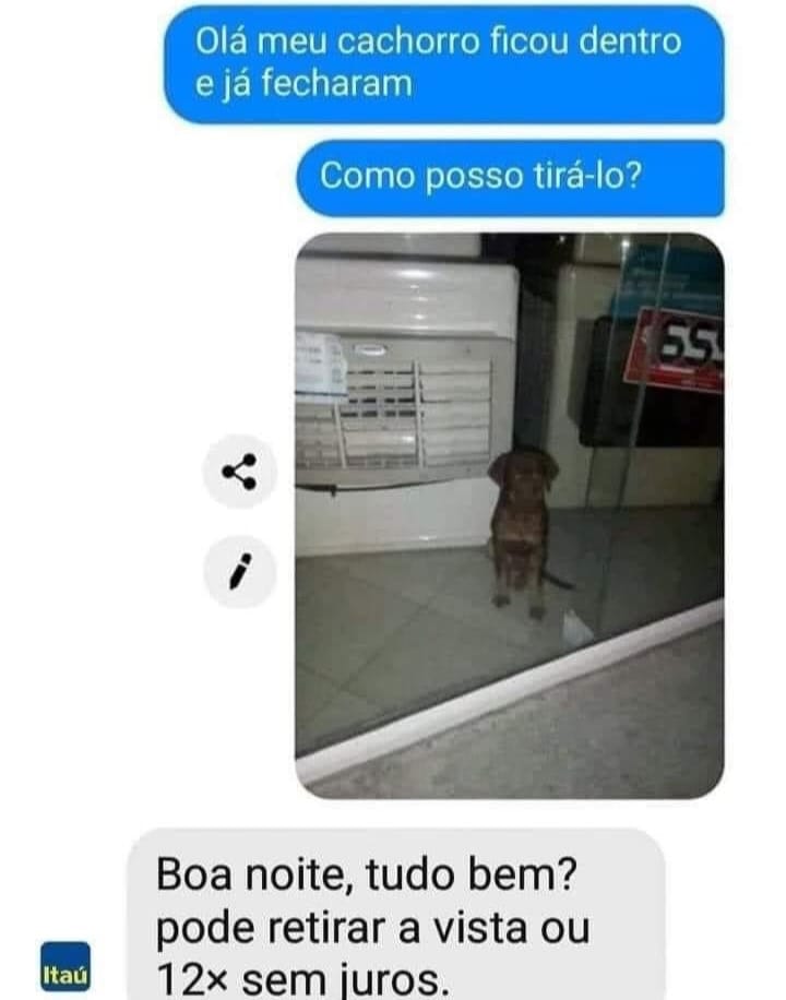 Cachorro preso: A liberdade em 12x sem juros! Cachorro preso: A liberdade em 12x sem juros!