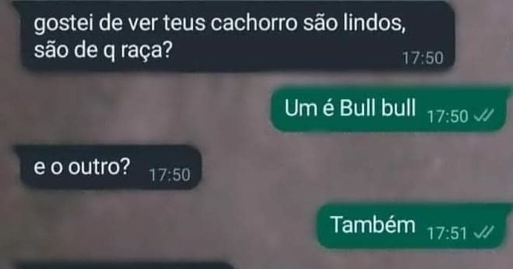 Cães, raças e confusões: A saga do Bull Bull!