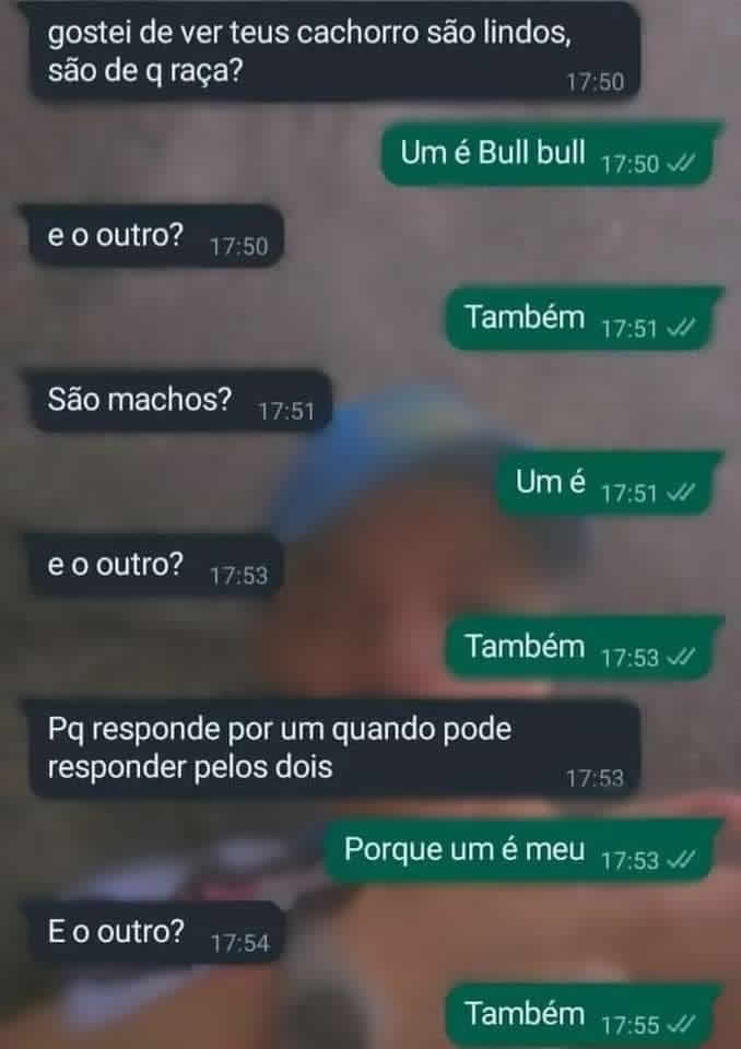 Cães, raças e confusões: A saga do Bull Bull! Cães, raças e confusões: A saga do Bull Bull!