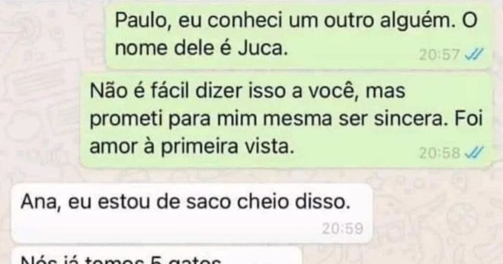 Juca, o gatinho que destruiu corações e aumentou a família!
