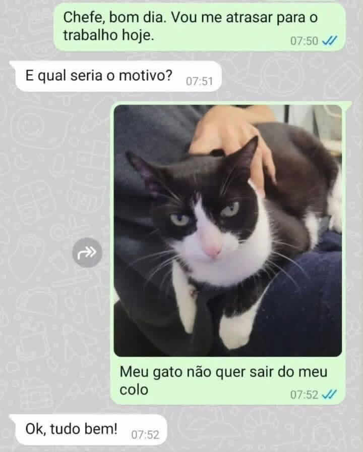 Quando o chefe do seu colo não libera a agenda! Quando o chefe do seu colo não libera a agenda!