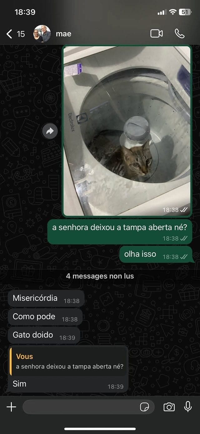 O dia que o gato decidiu se lavar sozinho O dia que o gato decidiu se lavar sozinho