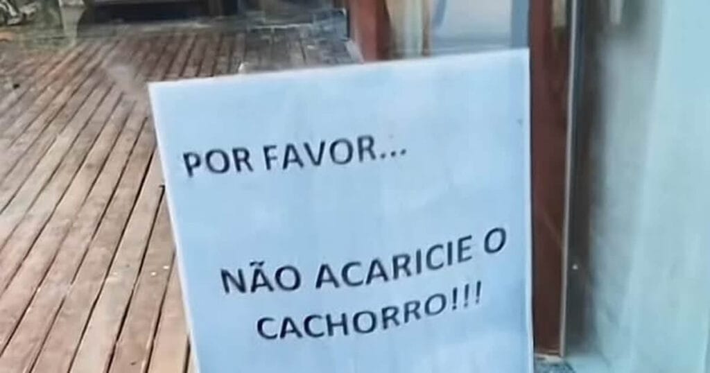 O golpe da lambidinha: Cuidado com esse pequeno estelionatário de carinho! O golpe da lambidinha: Cuidado com esse pequeno estelionatário de carinho!