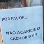 O golpe da lambidinha: Cuidado com esse pequeno estelionatário de carinho!