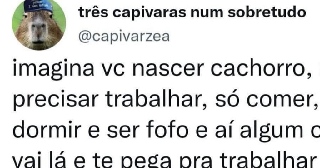 O sonho do doguinho acabou quando ele virou CLT O sonho do doguinho acabou quando ele virou CLT