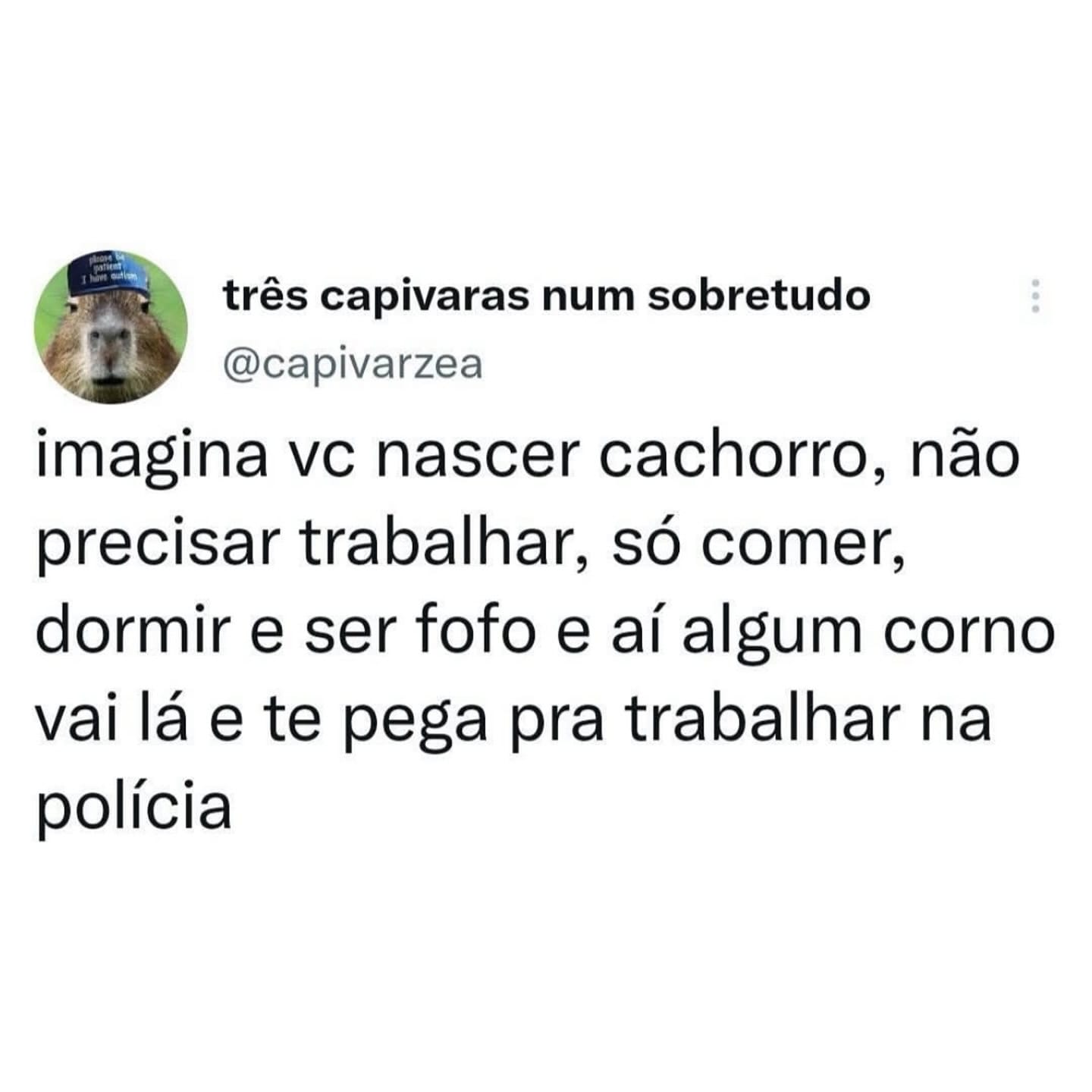 O sonho do doguinho acabou quando ele virou CLT O sonho do doguinho acabou quando ele virou CLT