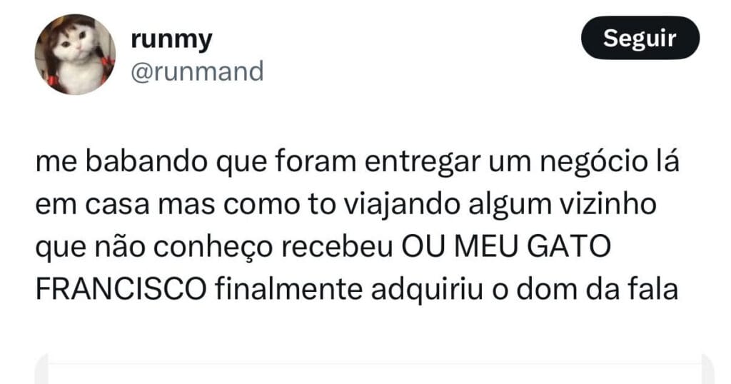 Se seu gato receber um pacote, corra: ele já sabe demais