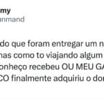 Se seu gato receber um pacote, corra: ele já sabe demais